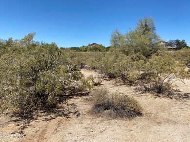 Desert