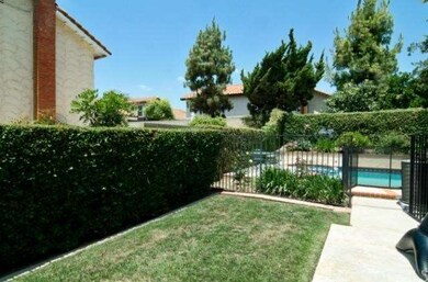 Grass for Pets & Play