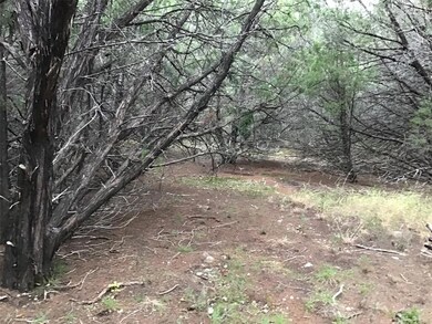 40091 Cedarcrest Dr, Whitney, TX 76692 - photo 4