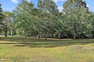 TBD Pond Lake Rd (Pr 1239), Elysian Fields, TX 75642 - photo 6
