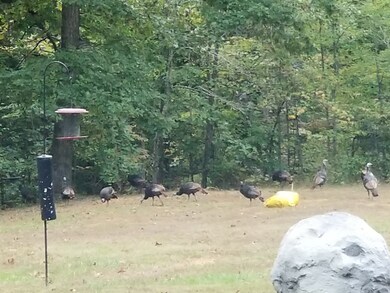 15941 14th Rd, Plymouth, IN 46563 - photo 5