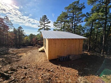 5 Tbd Black Bear Rd, Howe, OK 74940 - photo 4