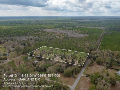 XXXX Slash Pine Dr Oakland Dr, Crawfordville, FL 32327 - photo 6