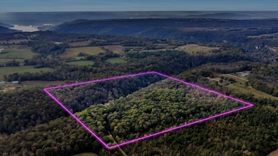 1130 County Road 376, Pisgah, AL 35765 - photo 4