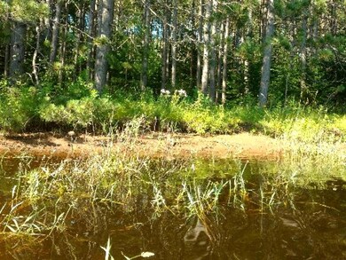 61 acres Hwy 86, Tomahawk, Wi, WI 54487 - photo 2
