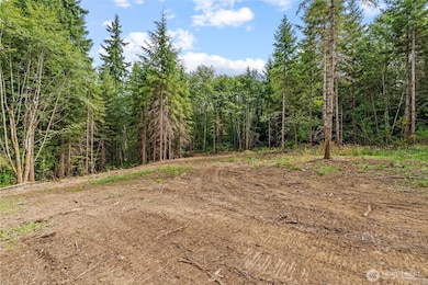 1792 Spirit Lake Hwy unit Lot 1, Castle Rock, WA 98611 - photo 6