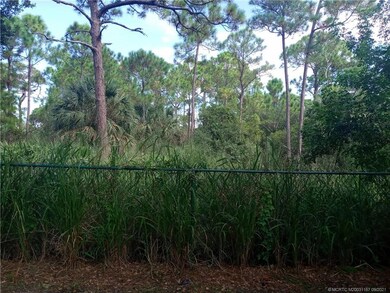 Backyard on the preserve