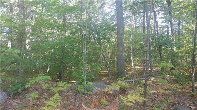 0 H Rd unit 1326139, Acton, ME 04001 - photo 6