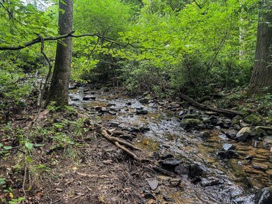 Tbd Laurel Dale Rd, New Creek, WV 26743 - photo 4