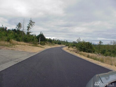 3 Volcano Rd, Napavine, WA 98532 - photo 2