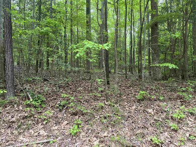 123 Santee Dr, Cypress Creek, NC 27549 - photo 4