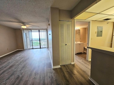 Living Room View from entrance