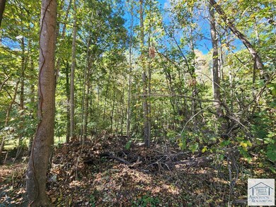 0 Turner Ashby Rd, Chatmoss, VA 24112 - photo 7