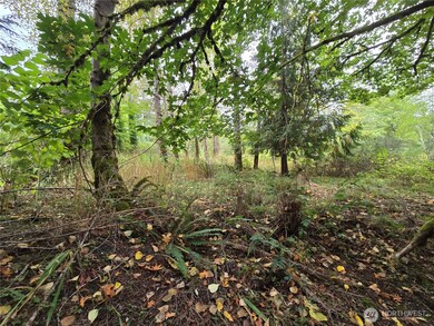 12628 208th Place NE, Union Hill-Novelty Hill, WA 98077 - photo 4