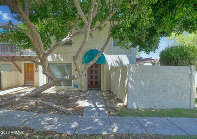 Front Yard 1