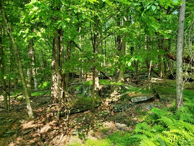 Lot 799 Tink Wig Dr, Lackawaxen Township, PA 18428 - photo 5