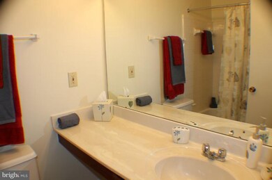 10092 Oakton Terrace Rd, Oakton, VA 22124 - photo 6