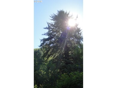 0 Miami Foley Rd unit 16504420, Nehalem, OR 97131 - photo 5