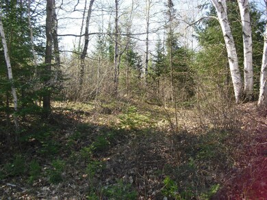 W9080 Blackhawk Rd, Tomahawk, WI 54487 - photo 5