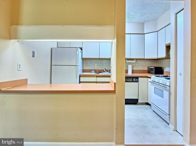 101 Fitz Ct unit 102, Reisterstown, MD 21136 - photo 7