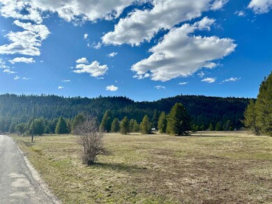 14 Smiths Ferry Dr, Cascade, ID 83611 - photo 2