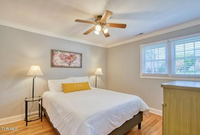 1321 7th Ave, Bristol, TN 37620 - photo 6