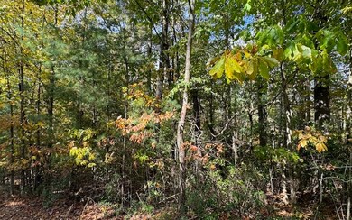 Lt 56,57 Hemlock Dr, Suches, GA 30572 - photo 7