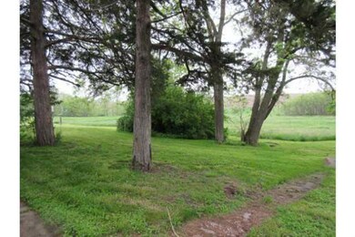 Yard/Garden.