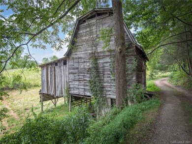 0000 Jones Rd, Leicester, NC 28748 - photo 7