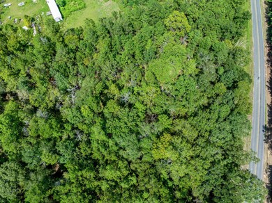 0 Tbd Savage Forks Rd, Leesville, LA 71446 - photo 6