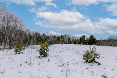Looking from the back of the property to