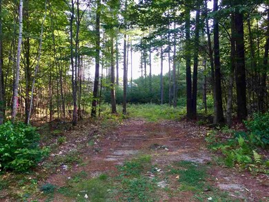 0 Poliquin Dr unit 46, Conway, NH 03818 - photo 4