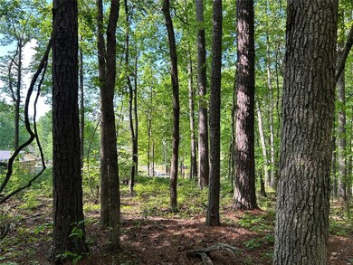 5211 Union Hill Rd, Alpharetta, GA 30004 - photo 5