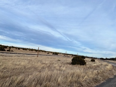 12 Metzger Dr, San Jose, NM 87565 - photo 4