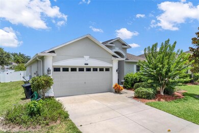 4823 Havilland Dr, Mount Dora, FL 32757 - photo 2