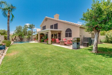 Beautiful Backyard