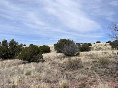 0 Poplar St, Snowflake, AZ 85937 - photo 2