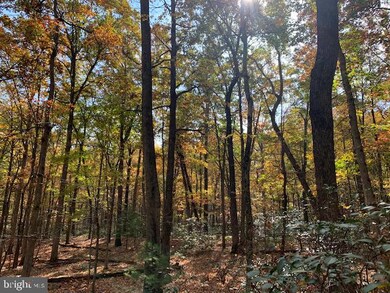 0 Barb unit VASH120806, Basye, VA 22844 - photo 5