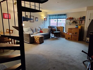 17 Healey St unit 201, Cambridge, MA 02138 - photo 5