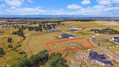 10776 Shadow Pines Ct, Parker, CO 80138 - photo 6