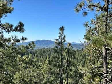 0 Mountain View unit 219139481DA, Idyllwild, CA - photo 5