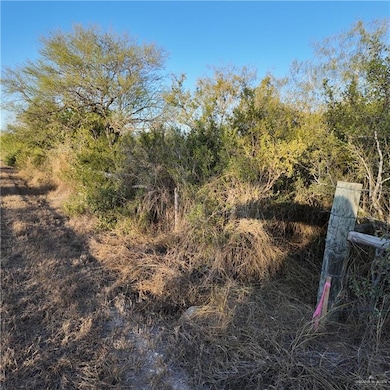 00 Cr 313, Encino, TX 78353 - photo 3