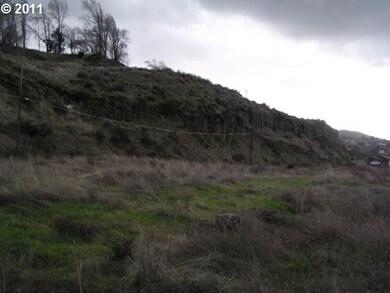 0 E 2nd St unit 100 13645620, the Dalles, OR 97058 - photo 3