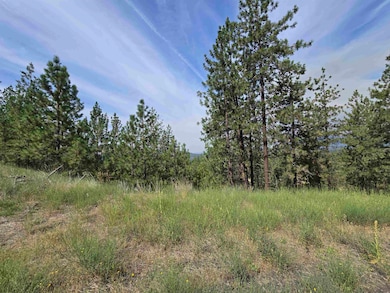 6499 Syringa Way, Suncrest, WA 99026 - photo 3