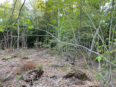 00 Great Falls Rd, Gorham, ME 04038 - photo 4