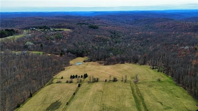 45 Kronus Rd, Erin, NY 14838 - photo 3