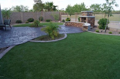 back yard 5