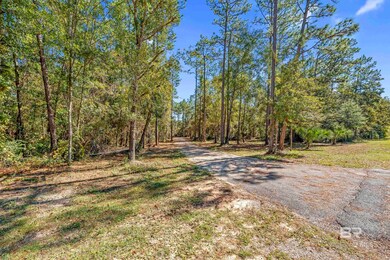 11010 Coleman Ln, Elberta, AL 36530 - photo 4