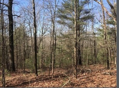 0 Ware St, Palmer, MA 01069 - photo 4