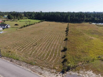 465 Lucius Marcantel Rd, Dequincy, LA 70633 - photo 7